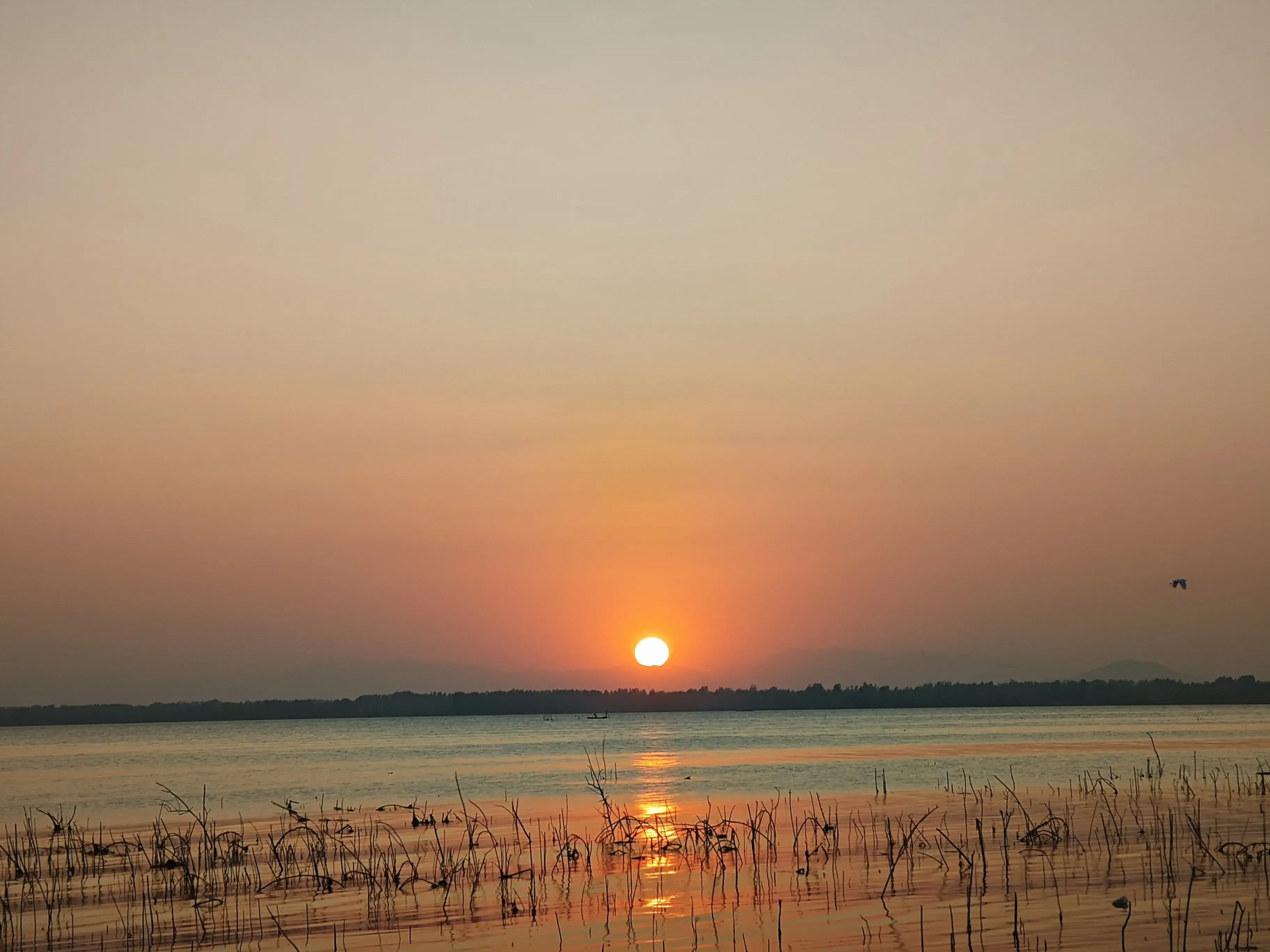 Cover image of the post