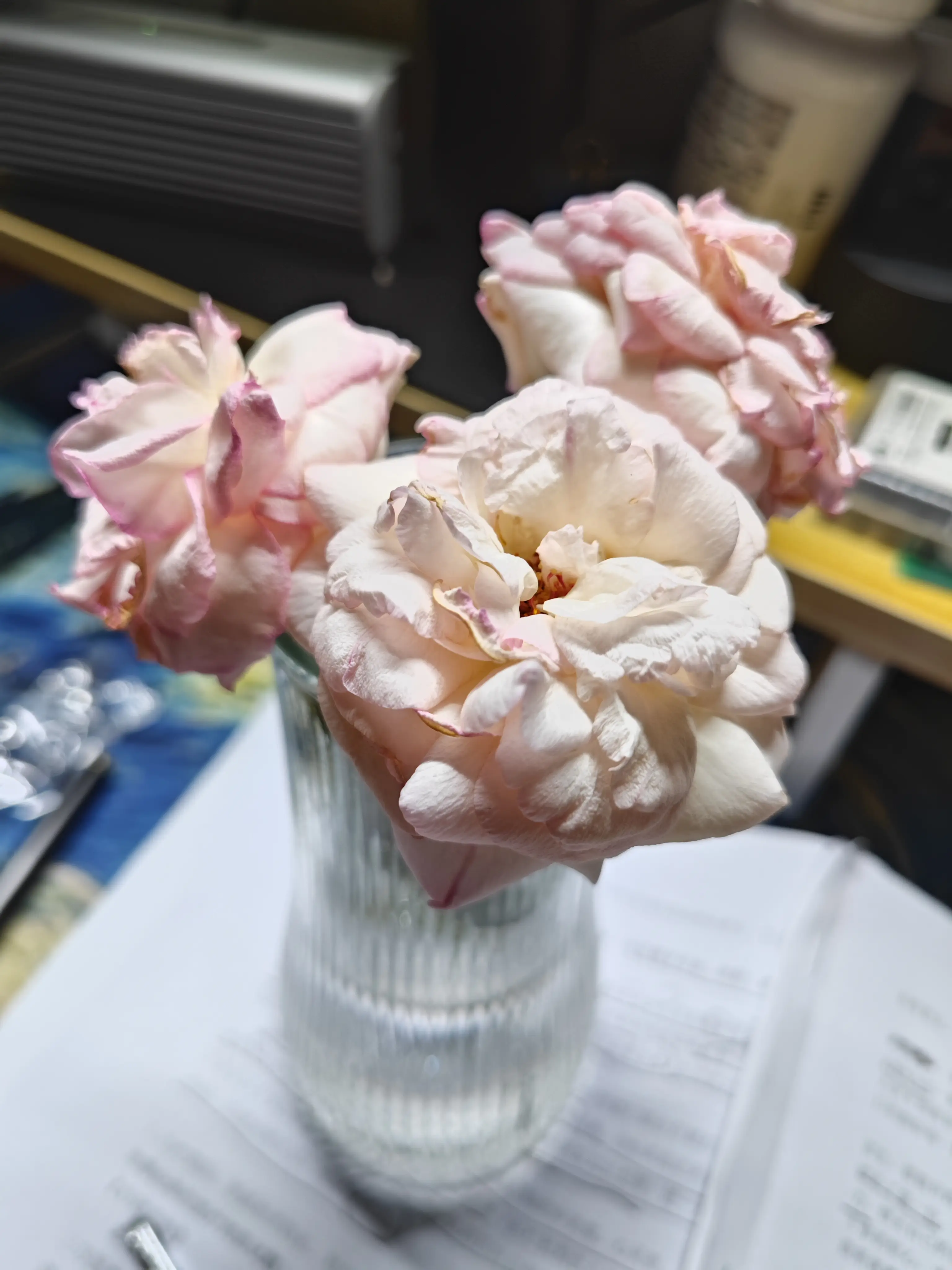 Cover image of the post