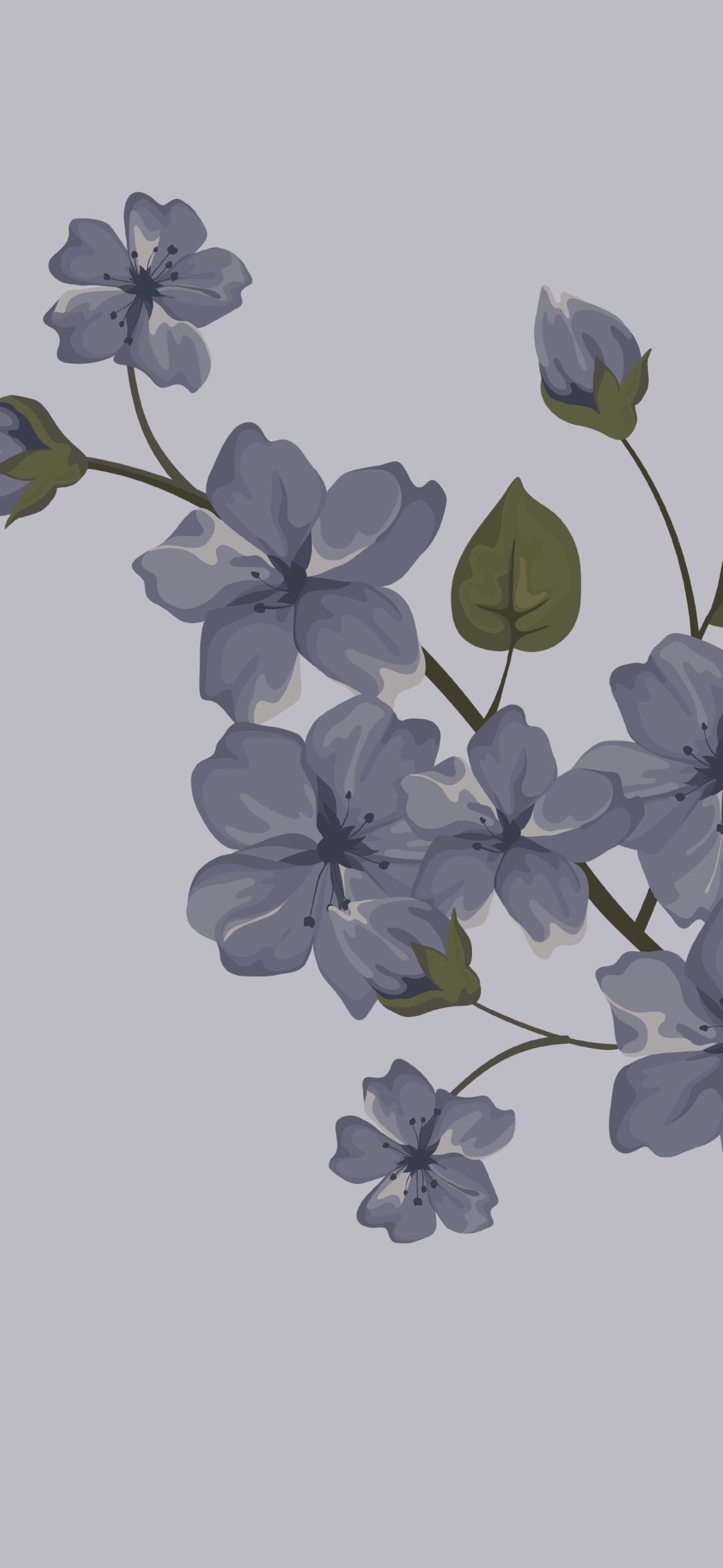 Cover image of the post