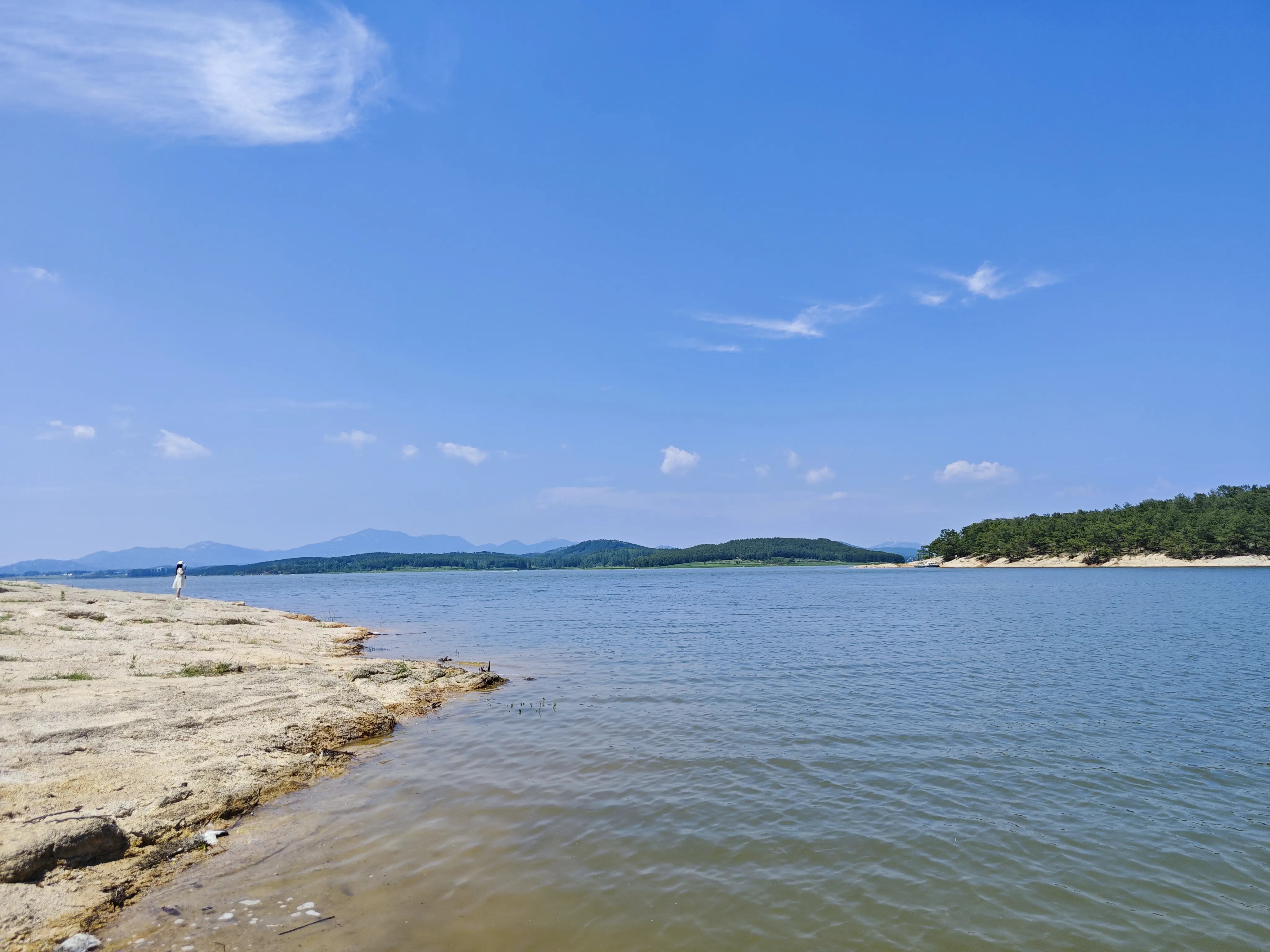 Cover image of the post