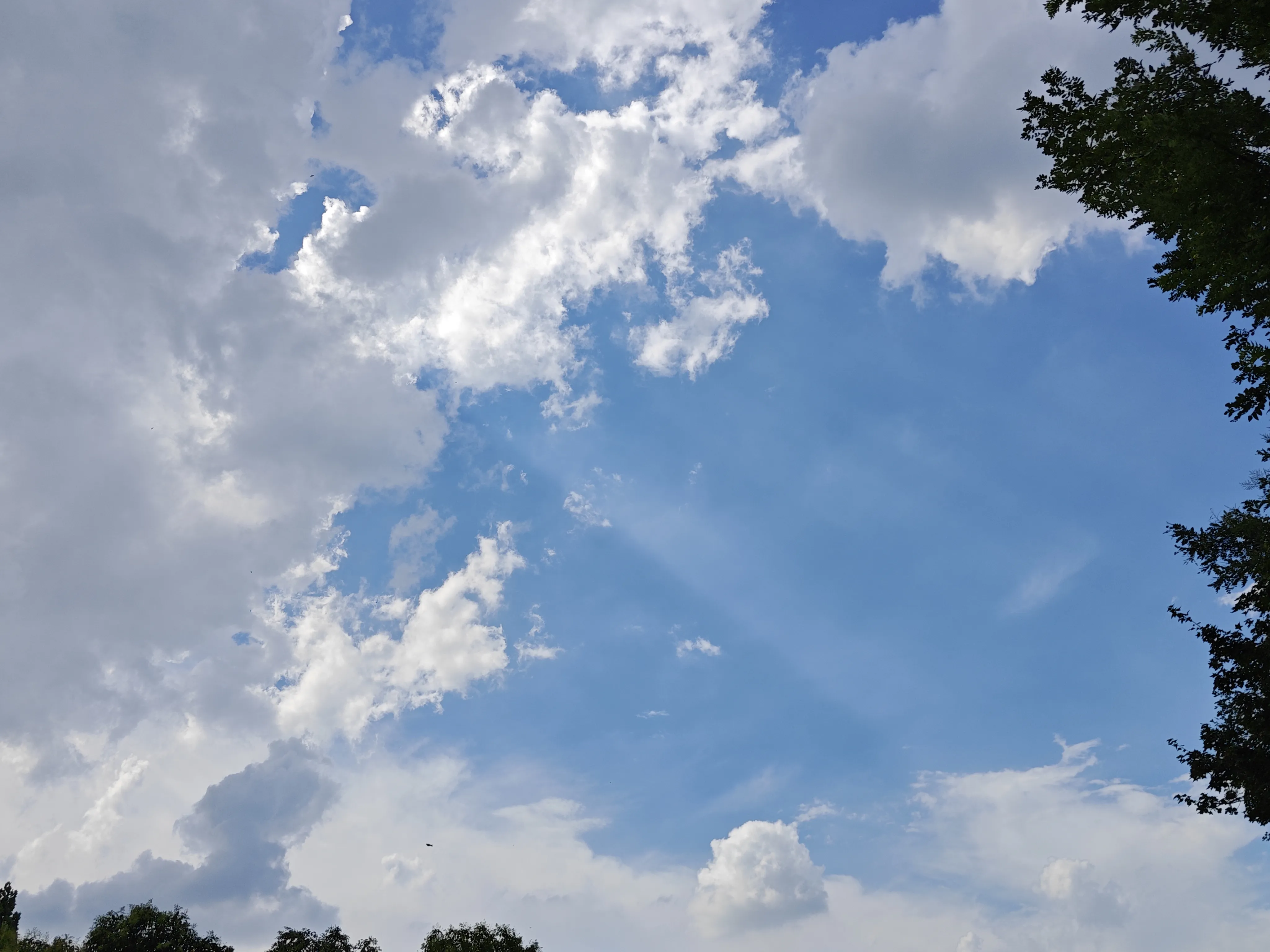Cover image of the post