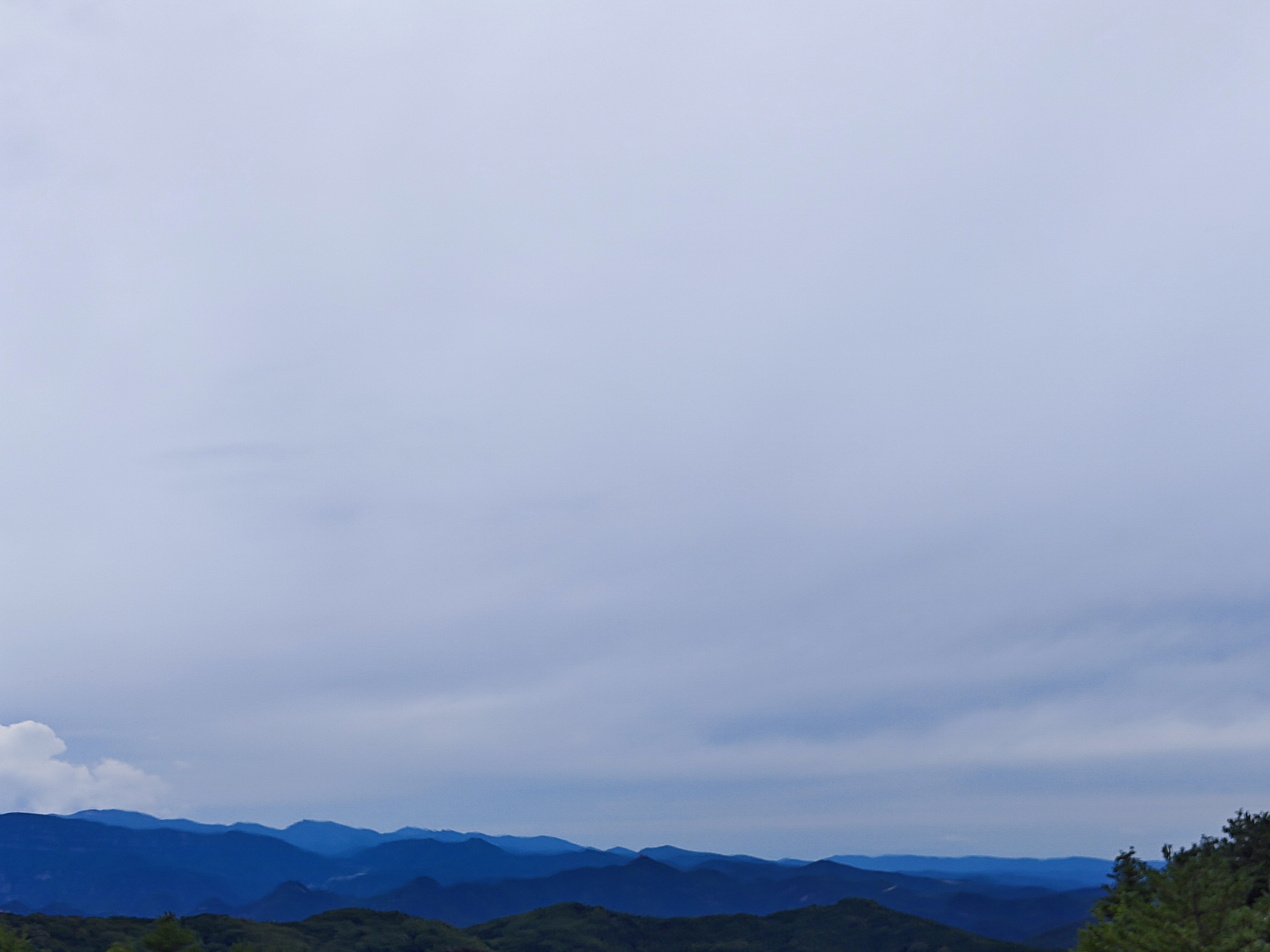 2025-08-16T12-o8c3j.jpg