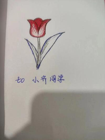 讼雅